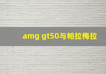 amg gt50与帕拉梅拉